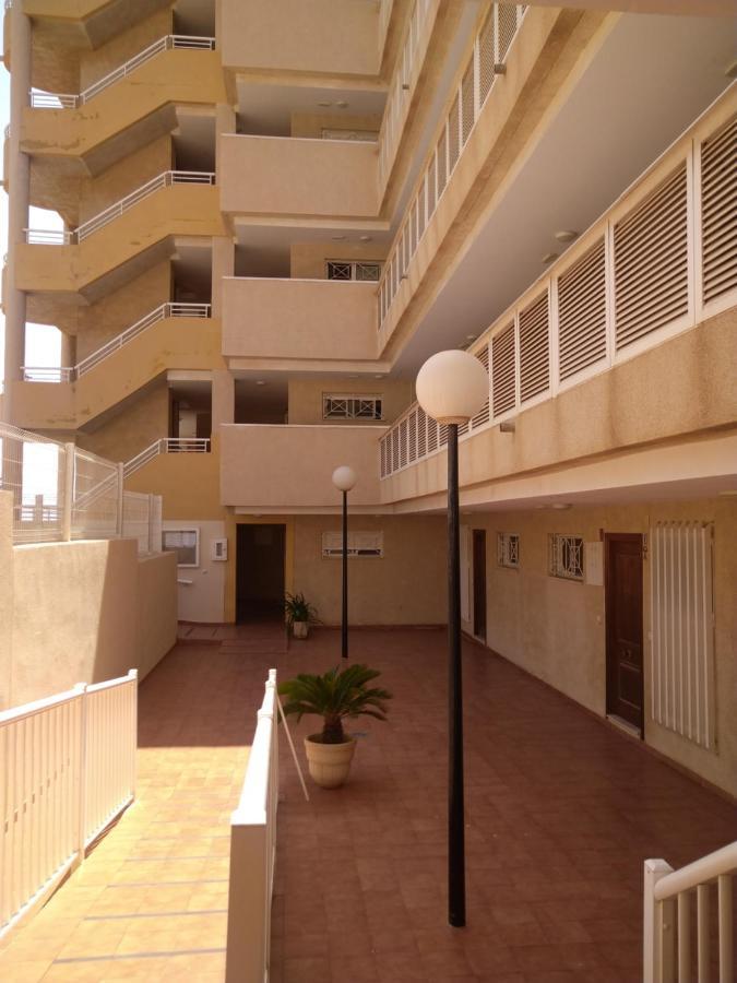 Apartment Camelia *
