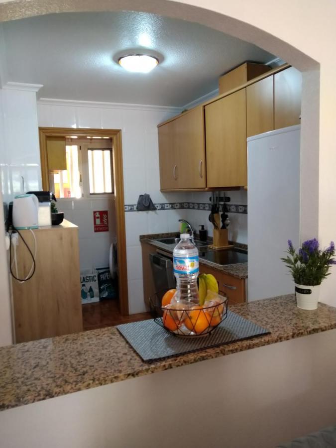 Camelia Apartment